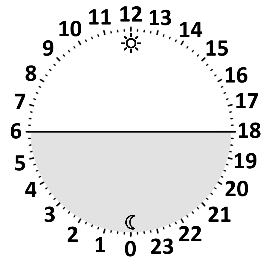 embedded-image-buunokm3.png