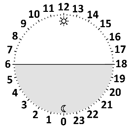 embedded-image-km0ulvkz.png